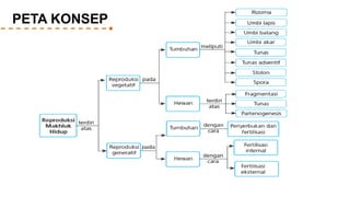PETA KONSEP
 
