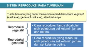Tumbuhan ada yang dapat melakukan reproduksi secara vegetatif
(aseksual), generatif (seksual), atau keduanya.
SISTEM REPRODUKSI PADA TUMBUHAN
Reproduksi
vegetatif
• Cara reproduksi tanpa didahului
oleh peleburan sel kelamin jantan
dan betina.
Reproduksi
generatif
• Cara reproduksi yang didahului
oleh peleburan sel kelamin jantan
dan sel kelamin betina.
 