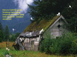 Menurut Definisi gerak,
binatang mana yang
bergerak dan mana yang
tidak bergerak. Jelaskan
alasannya.
 