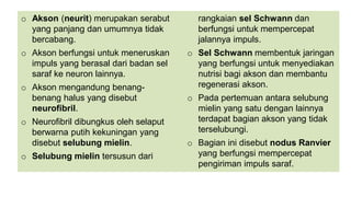 o Akson (neurit) merupakan serabut
yang panjang dan umumnya tidak
bercabang.
o Akson berfungsi untuk meneruskan
impuls yang berasal dari badan sel
saraf ke neuron lainnya.
o Akson mengandung benang-
benang halus yang disebut
neurofibril.
o Neurofibril dibungkus oleh selaput
berwarna putih kekuningan yang
disebut selubung mielin.
o Selubung mielin tersusun dari
rangkaian sel Schwann dan
berfungsi untuk mempercepat
jalannya impuls.
o Sel Schwann membentuk jaringan
yang berfungsi untuk menyediakan
nutrisi bagi akson dan membantu
regenerasi akson.
o Pada pertemuan antara selubung
mielin yang satu dengan lainnya
terdapat bagian akson yang tidak
terselubungi.
o Bagian ini disebut nodus Ranvier
yang berfungsi mempercepat
pengiriman impuls saraf.
 