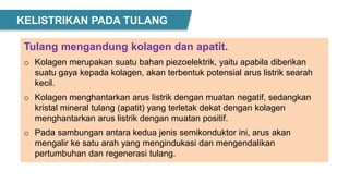 KELISTRIKAN PADA TULANG
Tulang mengandung kolagen dan apatit.
o Kolagen merupakan suatu bahan piezoelektrik, yaitu apabila diberikan
suatu gaya kepada kolagen, akan terbentuk potensial arus listrik searah
kecil.
o Kolagen menghantarkan arus listrik dengan muatan negatif, sedangkan
kristal mineral tulang (apatit) yang terletak dekat dengan kolagen
menghantarkan arus listrik dengan muatan positif.
o Pada sambungan antara kedua jenis semikonduktor ini, arus akan
mengalir ke satu arah yang mengindukasi dan mengendalikan
pertumbuhan dan regenerasi tulang.
 