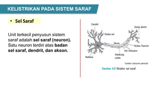 Unit terkecil penyusun sistem
saraf adalah sel saraf (neuron).
Satu neuron terdiri atas badan
sel saraf, dendrit, dan akson.
• Sel Saraf
KELISTRIKAN PADA SISTEM SARAF
 