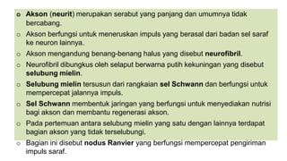 o Akson (neurit) merupakan serabut yang panjang dan umumnya tidak
bercabang.
o Akson berfungsi untuk meneruskan impuls yang berasal dari badan sel saraf
ke neuron lainnya.
o Akson mengandung benang-benang halus yang disebut neurofibril.
o Neurofibril dibungkus oleh selaput berwarna putih kekuningan yang disebut
selubung mielin.
o Selubung mielin tersusun dari rangkaian sel Schwann dan berfungsi untuk
mempercepat jalannya impuls.
o Sel Schwann membentuk jaringan yang berfungsi untuk menyediakan nutrisi
bagi akson dan membantu regenerasi akson.
o Pada pertemuan antara selubung mielin yang satu dengan lainnya terdapat
bagian akson yang tidak terselubungi.
o Bagian ini disebut nodus Ranvier yang berfungsi mempercepat pengiriman
impuls saraf.
 