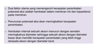o Dua faktor utama yang memengaruhi kecepatan perambatan
potensial aksi adalah hambatan dalam membran inti dan kapasitansi
pada membran.
o Penurunan potensial aksi akan meningkatkan kecepatan
perambatan.
o Hambatan internal sebuah akson menurun dengan semakin
meningkatnya diameter sehingga sebuah akson dengan diameter
besar akan memiliki kecepatan perambatan yang lebih tinggi
daripada akson dengan diameter kecil.
 