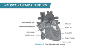 KELISTRIKAN PADA JANTUNG
 