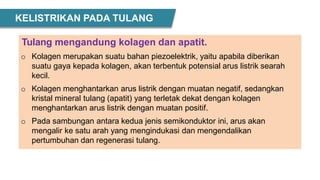 KELISTRIKAN PADA TULANG
Tulang mengandung kolagen dan apatit.
o Kolagen merupakan suatu bahan piezoelektrik, yaitu apabila diberikan
suatu gaya kepada kolagen, akan terbentuk potensial arus listrik searah
kecil.
o Kolagen menghantarkan arus listrik dengan muatan negatif, sedangkan
kristal mineral tulang (apatit) yang terletak dekat dengan kolagen
menghantarkan arus listrik dengan muatan positif.
o Pada sambungan antara kedua jenis semikonduktor ini, arus akan
mengalir ke satu arah yang mengindukasi dan mengendalikan
pertumbuhan dan regenerasi tulang.
 