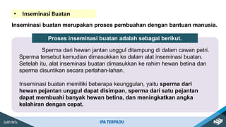 • Inseminasi Buatan
Inseminasi buatan merupakan proses pembuahan dengan bantuan manusia.
Sperma dari hewan jantan unggul ditampung di dalam cawan petri.
Sperma tersebut kemudian dimasukkan ke dalam alat inseminasi buatan.
Setelah itu, alat inseminasi buatan dimasukkan ke rahim hewan betina dan
sperma disuntikan secara perlahan-lahan.
Inseminasi buatan memiliki beberapa keunggulan, yaitu sperma dari
hewan pejantan unggul dapat disimpan, sperma dari satu pejantan
dapat membuahi banyak hewan betina, dan meningkatkan angka
kelahiran dengan cepat.
Proses inseminasi buatan adalah sebagai berikut.
 
