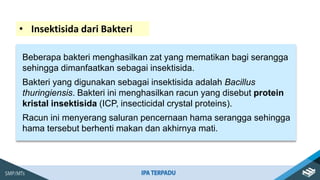 Beberapa bakteri menghasilkan zat yang mematikan bagi serangga
sehingga dimanfaatkan sebagai insektisida.
Bakteri yang digunakan sebagai insektisida adalah Bacillus
thuringiensis. Bakteri ini menghasilkan racun yang disebut protein
kristal insektisida (ICP, insecticidal crystal proteins).
Racun ini menyerang saluran pencernaan hama serangga sehingga
hama tersebut berhenti makan dan akhirnya mati.
• Insektisida dari Bakteri
 
