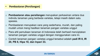 o Pembastaran atau persilangan merupakan perkawinan antara dua
individu tanaman yang berbeda varietas, tetapi masih dalam satu
spesies.
o Pembastaran merupakan cara yang sederhana, murah, dan paling
mudah untuk meng hasilkan tanaman pangan varietas unggul
o Para ahli pemuliaan tanaman di Indonesia telah berhasil menciptakan
tanaman pangan varietas unggul dengan menggunakan cara ini.
o Contoh tanaman pangan varietas unggul tersebut adalah padi IR 8, IR
20, PB 8, Hipa 10, dan Inpari 33.
• Pembastaran (Persilangan)
 