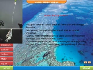 KELUARMENU
Tujuan
Materi
Latihan
Evaluasi
Glosarium
Referensi
MATERI PEMBELAJARAN
IKAN PENYUMPIT
•Hidup di perairan pantai serta air tawar dari India hingga
Australia.
•Menyerang mangsa yang berada di atas air tempat
tinggalnya.
•Mampu menyemprotkan air ke udara untuk menjatuhkan
serangga dari tumbuhan atau udara.
•Dapat melompat dari air untuk menyergap serangga yang
hinggap di daun atau dahan yang menggantung di atas air.
 