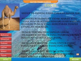 KELUARMENU
Tujuan
Materi
Latihan
Evaluasi
Glosarium
Referensi
MATERI PEMBELAJARAN
UNTA
•Hidup di padang pasir (daerah minim air)
•Memiliki kemampuan tidak makan atau
tidak minum selama berhari-hari karena
memiliki punuk yang merupakan tempat
cdangan makanan.
•Punuk terdiri dari lapisan lemak.
•Memiliki bulu mata yang panjang untuk
melindungi mata dari pasir.
•Memiliki kaki yang tebal untuk dapat
berjalan di padang pasir yang panas.
•Memiliki lubang hidung yang dapat
tertutup untuk melindungi hidung
saat terjadi badai pasir.
 