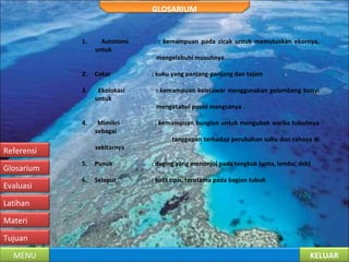 KELUARMENU
Tujuan
Materi
Latihan
Evaluasi
Glosarium
Referensi
GLOSARIUM
1. Autotomi : kemampuan pada cicak untuk memutuskan ekornya,
untuk
mengelabuhi musuhnya.
2. Cakar : kuku yang panjang-panjang dan tajam
3. Ekolokasi : kemampuan kelelawar menggunakan gelombang bunyi
untuk
mengetahui posisi mangsanya .
4. Mimikri : kemampuan bunglon untuk mengubah warba tubuhnya
sebagai
tanggapan terhadap perubahan suhu dan cahaya di
sekitarnya
5. Punuk : daging yang menonjol pada tengkuk (unta, lembu, dsb)
6. Selaput : kulit tipis, terutama pada bagian tubuh
 