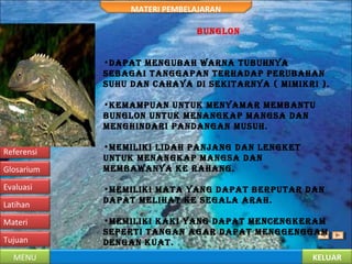 KELUARMENU
Tujuan
Materi
Latihan
Evaluasi
Glosarium
Referensi
MATERI PEMBELAJARAN
BUNGLON
•Dapat meNGUBah warNa tUBUhNya
seBaGai taNGGapaN terhaDap perUBahaN
sUhU DaN cahaya Di sekitarNya ( mimikri ).
•kemampUaN UNtUk meNyamar memBaNtU
BUNGLON UNtUk meNaNGkap maNGsa DaN
meNGhiNDari paNDaNGaN mUsUh.
•memiLiki LiDah paNjaNG DaN LeNGket
UNtUk meNaNGkap maNGsa DaN
memBawaNya ke rahaNG.
•memiLiki mata yaNG Dapat BerpUtar DaN
Dapat meLihat ke seGaLa arah.
•memiLiki kaki yaNG Dapat meNceNGkeram
seperti taNGaN aGar Dapat meNGGeNGGam
DeNGaN kUat.
 
