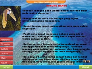KELUARMENU
Tujuan
Materi
Latihan
Evaluasi
Glosarium
Referensi
MATERI PEMBELAJARAN
BURUNG HANTU
•Mencari mangsa pada waktu malam hari dan tidur
pada waktu siang hari.
•Menggunakan mata dan telinga yang tajam
untukmenangkap mangsanya.
•Dapat dengan cepat memusatkan bola mata dalam
kegelapan.
•Pupil mata dapat menyerap cahaya yang ada di
malam hari, sehingga burung hantu dapat melihat
walau cahaya sedikit.
•Ketika berburu burung hantu mengeluarkan suara
sehingga membuat takut mangsanya.  Gerakan
mangsa yang ketakutan terdengar oleh burung hantu
sehingga dapat menemukan letak mangsanya.
•Bulu sayap burung hantu sangat halus dan lembut
sehingga burung hantu dapat terbang tanpa suara
dan dapat menyambar mangsanya dengan diam-diam
 
