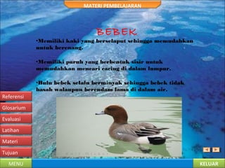 KELUARMENU
Tujuan
Materi
Latihan
Evaluasi
Glosarium
Referensi
MATERI PEMBELAJARAN
BEBEK
•Memiliki kaki yang berselaput sehingga memudahkan
untuk berenang.
•Memiliki paruh yang berbentuk sisir untuk
memudahkan mencari cacing di dalam lumpur.
•Bulu bebek selalu berminyak sehingga bebek tidak
basah walaupun berendam lama di dalam air.
 