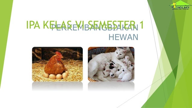 Ipa Kelas Vi Semester 1 Perkembangbiakan Hewan