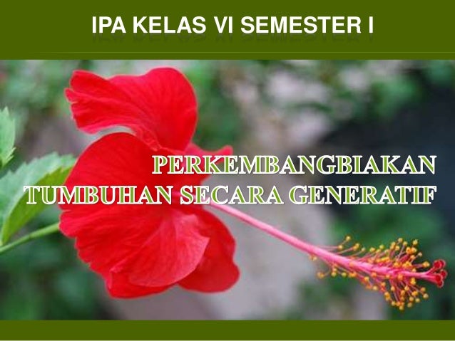 Ipa Kelas Vi Semester I Perkembangbiakan Tumbuhan Secara Generatif