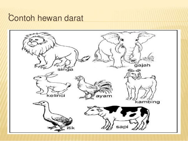 Gambar Singa Pakai Pensil