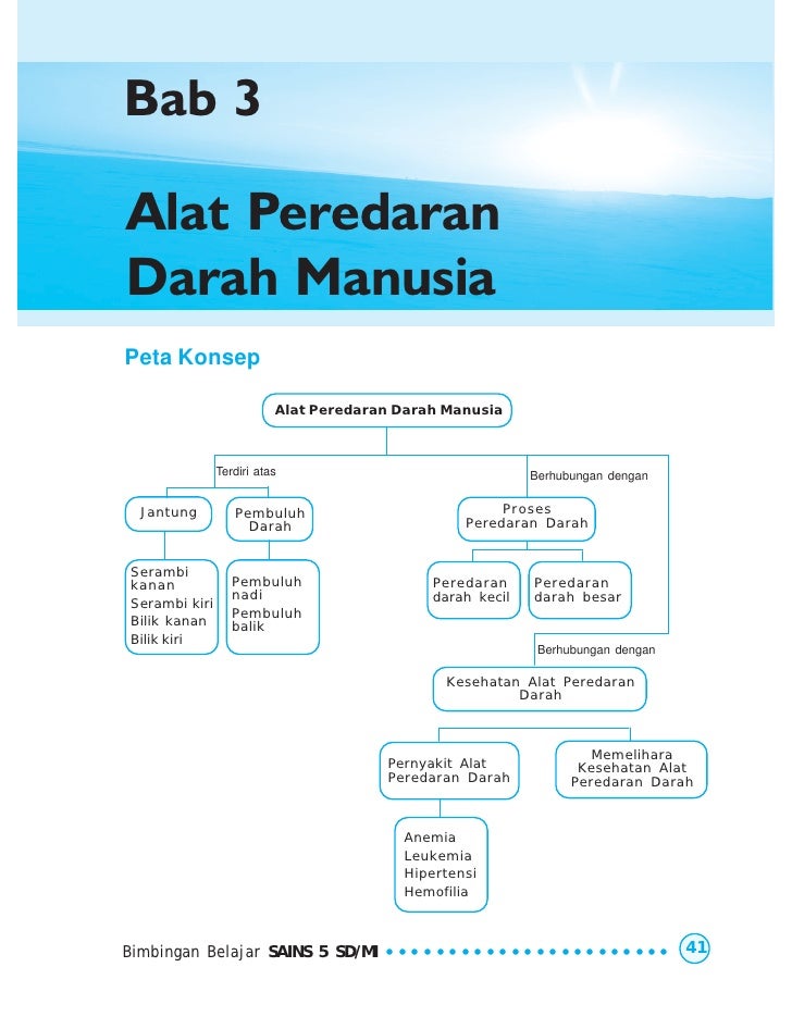 Ipa kls 5 sd munawar Ipa kls 5 sd munawar