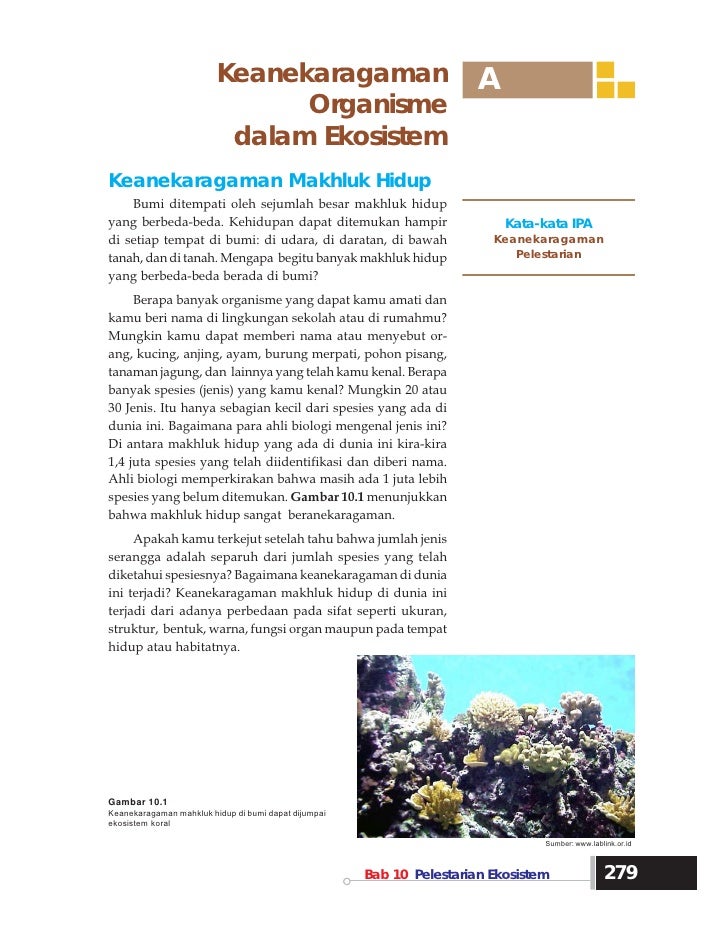 Ipa Kls 7 Bab 10 Pelestarian Ekosistem