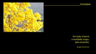 _______________________________PICHORIM 
Em todo o bairroa novidade surgiu. Ipês-amarelos. 
Sérgio Pichorim  