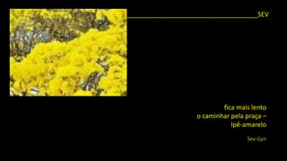 _____________________________________SEV 
fica mais lento 
o caminhar pela praça – 
Ipê-amarelo 
SevGyn  