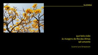 _________________________________SUZANA 
que bela visão 
às margens do Rio das Almas 
ipê-amarelo 
Suzana Lyra Strapasson  