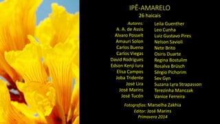 IPÊ-AMARELO 
26 haicais 
Autores: 
A. A. de Assis 
AlvaroPosselt 
Amauri Solon 
Carlos Bueno 
Carlos Viegas 
David Rodrigues 
Edson KenjiIura 
Elisa Campos 
JobaTridente 
José Lira 
José Marins 
José Tucón 
Leila Guenther 
Leo Cunha 
Luiz Gustavo Pires 
Nelson Savioli 
NeteBrito 
OsirisDuarte 
Regina Bostulim 
Rosalva Brüsch 
Sérgio Pichorim 
SevGyn 
Suzana Lyra Strapasson 
Terezinha Manczak 
Vanice Ferreira 
Fotografias: Marselha Zakhia 
Editor: José Marins 
Primavera 2014  