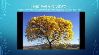 LINK PARA O VÍDEO:
HTTPS://WWW.YOUTUBE.COM/WATCH?V=WZ94YL9DLFQ&FEATURE=YOUTU.BE
 