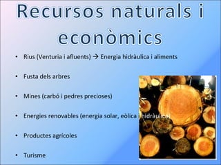 Rius (Venturia i afluents)    Energia hidràulica i aliments Fusta dels arbres Mines (carbó i pedres precioses) Energies renovables (energia solar, eòlica i  hidràulica) Productes agrícoles Turisme 