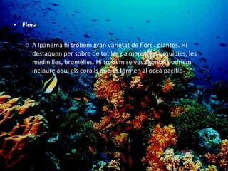 Flora A Ipanema hi trobem gran varietat de flors i plantes. Hi destaquen per sobre de tot les palmeres, les orquídies, les medinilles, bromèlies. Hi trobem selves. També podríem incloure aquí els coralls que es formen al oceà pacífic 