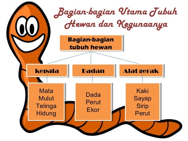 8400 Gambar Bagian Tubuh Hewan Dan Tumbuhan Terbaru