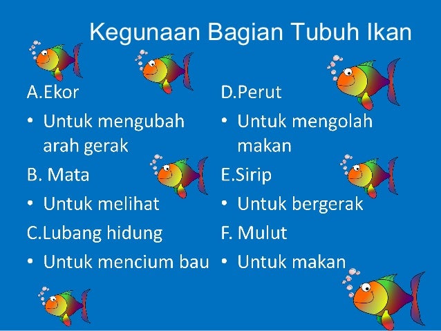 Gambar Ikan Dan Fungsi Bagian Tubuhnya Klik OK