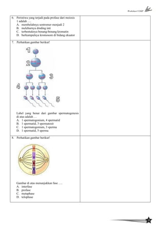 Peristiwa meiosis yang terjadi pada profase ii adalah