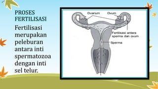 PROSES
FERTILISASI

Fertilisasi
merupakan
peleburan
antara inti
spermatozoa
dengan inti
sel telur.

 