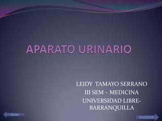 APARATO URINARIO LEIDY  TAMAYO SERRANO III SEM – MEDICINA UNIVERSIDAD LIBRE-BARRANQUILLA FINAL SIGUIENTE 