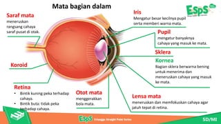 Upil Besar IPAS BAB 1 Cahaya dan Bunyi di Sekitar Kita.pptx