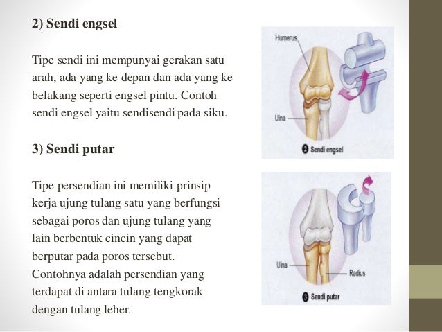 Bab 2 Rangka Otot dan Pesawat Sederhana 