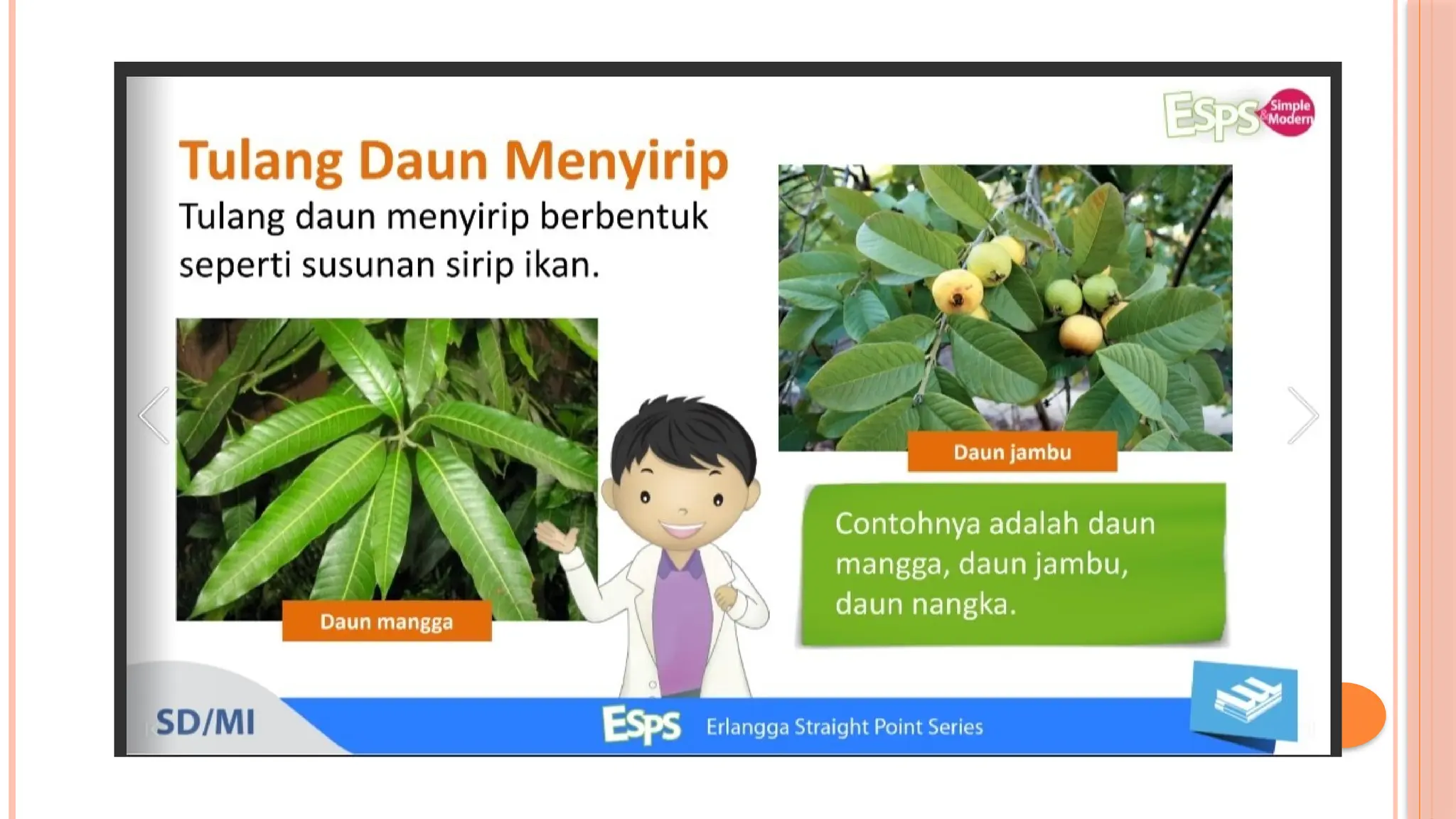 1347249 | LKPD IPA Bagian-bagian tumbuhan dan fungsinya Materi ipas tumbuhan kelas 4