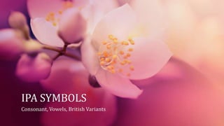 IPA SYMBOLS
Consonant, Vowels, British Variants