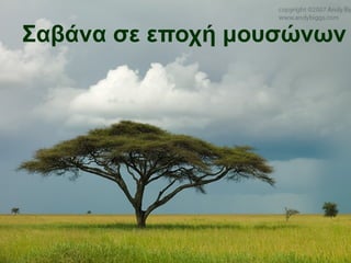 Σαβάνα σε εποχή μουσώνӬν
 