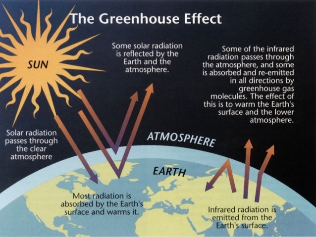 the ozone layer and global warming Start studying global warming/ ozone depletion learn vocabulary, terms, and more with flashcards, games, and other study tools. the ozone layer and global warming Start studying global warming/ ozone depletion learn vocabulary, terms, and more with flashcards, games, and other study tools.