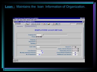 Loan :   Maintains the  loan  Information of Organization. 