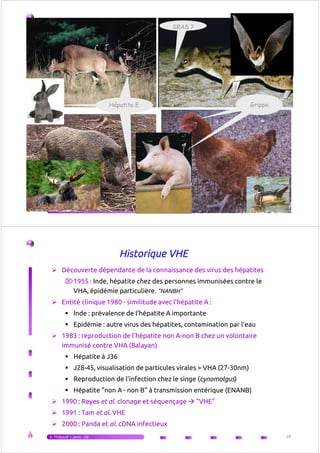 Grippe
SRAS ?
Hépatite E ?Hépatite E ? GrippeHépatite E
V.Thibault | janv.-16 27
Historique VHE
Découverte dépendante de la connaissance des virus des hépatites
⌦1955 : Inde, hépatite chez des personnes immunisées contre le
VHA, épidémie particulière. "NANBH"
Entité clinique 1980 - similitude avec l’hépatite A :
Inde : prévalence de l’hépatite A importante
Epidémie : autre virus des hépatites, contamination par l’eau
1983 : reproduction de l’hépatite non A-non B chez un volontaire
immunisé contre VHA (Balayan)
Hépatite à J36
J28-45, visualisation de particules virales > VHA (27-30nm)
Reproduction de l’infection chez le singe (cynomolgus)
Hépatite "non A - non B" à transmission entérique (ENANB)
1990 : Reyes et al. clonage et séquençage "VHE"
1991 : Tam et al. VHE
2000 : Panda et al. cDNA infectieux
V.Thibault | janv.-16 28
 