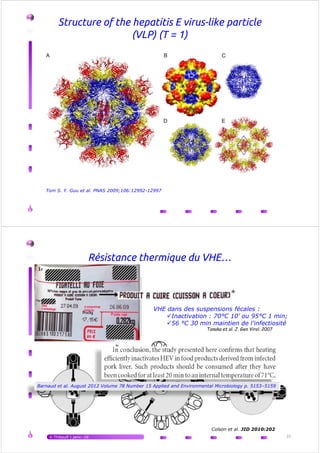 Structure of the hepatitis E virus-like particle
(VLP) (T = 1)
Tom S. Y. Guu et al. PNAS 2009;106:12992-12997
Résistance thermique du VHE…
VHE dans des suspensions fécales :
Inactivation : 70°C 10' ou 95°C 1 min;
56 °C 30 min maintien de l'infectiosité
Tanaka et al. J. Gen Virol. 2007
V.Thibault | janv.-16 33
Colson et al. JID 2010:202
Barnaud et al. August 2012 Volume 78 Number 15 Applied and Environmental Microbiology p. 5153–5159
 