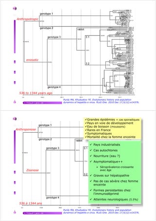 Evolution VHE
Anthropotropic
V.Thibault | janv.-16 40
Purdy MA, Khudyakov YE. Evolutionary history and population
dynamics of hepatitis e virus. PLoS One. 2010 Dec 17;5(12):e14376.
enzootic
536 to 1344 years ago
Evolution VHE
Anthroponose
Grandes épidémies + cas sporadiques
Pays en voie de développement
Eau de boisson (moussons)
Rares en France
Symptomatiques
Mortalité chez la femme enceinte
Pays industrialisés
Cas autochtones
Nourriture (eau ?)
Asymptomatique++
Séroprévalence croissante
V.Thibault | janv.-16 41
Purdy MA, Khudyakov YE. Evolutionary history and population
dynamics of hepatitis e virus. PLoS One. 2010 Dec 17;5(12):e14376.
Zoonose
536 à 1344 ans
Séroprévalence croissante
avec âge
Graves sur hépatopathie
Pas de cas sévère chez femme
enceinte
Formes persistantes chez
l'immunodéprimé
Atteintes neurologiques (5.5%)
 