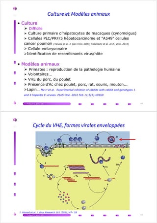 • Culture
Difficile
Culture primaire d’hépatocytes de macaques (cynomolgus)
Cellules PLC/PRF/5 hépatocarcinome et "A549" cellules
cancer poumon (Tanaka et al. J. Gen Virol. 2007; Takahashi et al. Arch. Virol. 2012)
Cellule embryonnaire
Identification de recombinants virus/hôte
Culture et Modèles animaux
• Modèles animaux
Primates : reproduction de la pathologie humaine
Volontaires...
VHE du porc, du poulet
Présence d’Ac chez poulet, porc, rat, souris, mouton...
Lapin… Ma H et al. Experimental infection of rabbits with rabbit and genotypes 1
and 4 hepatitis E viruses. PLoS One. 2010 Feb 11;5(2):e9160
V.Thibault | janv.-16 44
Cycle du VHE, formes virales enveloppées
V.Thibault | janv.-16 45
I. Ahmad et al. / Virus Research 161 (2011) 47– 58
 