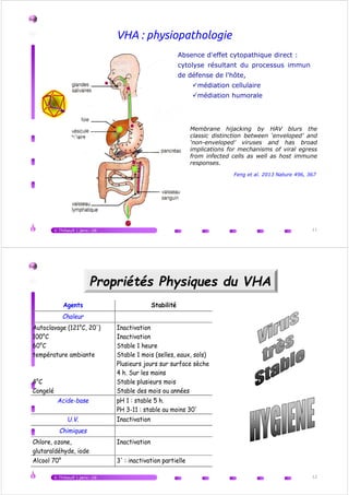 VHA : physiopathologie
Absence d'effet cytopathique direct :
cytolyse résultant du processus immun
de défense de l'hôte,
médiation cellulaire
médiation humorale
V.Thibault | janv.-16 11
Membrane hijacking by HAV blurs the
classic distinction between ‘enveloped’ and
‘non-enveloped’ viruses and has broad
implications for mechanisms of viral egress
from infected cells as well as host immune
responses.
Feng et al. 2013 Nature 496, 367
Agents Stabilité
Chaleur
Autoclavage (121°C, 20')
100°C
60°C
température ambiante
Inactivation
Inactivation
Stable 1 heure
Stable 1 mois (selles, eaux, sols)
Plusieurs jours sur surface sèche
4 h. Sur les mains
Propriétés Physiques du VHA
V.Thibault | janv.-16 12
4°C
Congelé
4 h. Sur les mains
Stable plusieurs mois
Stable des mois ou années
Acide-base pH 1 : stable 5 h.
PH 3-11 : stable au moins 30'
U.V. Inactivation
Chimiques
Chlore, ozone,
glutaraldéhyde, iode
Inactivation
Alcool 70° 3' : inactivation partielle
 