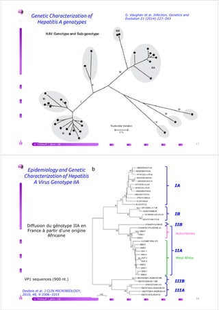 Genetic Characterization of
Hepatitis A genotypes
G. Vaughan et al. Infection, Genetics and
Evolution 21 (2014) 227–243
V.Thibault | janv.-16 17
IA
IB
IIB
Autochtones
Diffusion du génotype IIA en
France à partir d'une origine
Epidemiology and Genetic
Characterization of Hepatitis
A Virus Genotype IIA
V.Thibault | janv.-16 18
Desbois et al. J CLIN MICROBIOLOGY,
2010, 48, 9:3306–3315
IIA
IIIB
IIIA
VP1 sequences (900 nt.)
West Africa
Autochtones
France à partir d'une origine
Africaine
 
