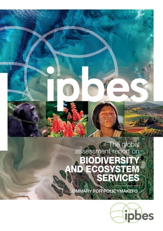 The global
assessment report on
BIODIVERSITY
AND ECOSYSTEM
SERVICES
SUMMARY FOR POLICYMAKERS
 